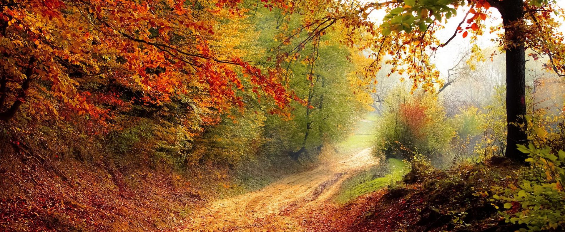 Landschaft (Kopie) (Kopie) Natur, Recruiting, Coaching