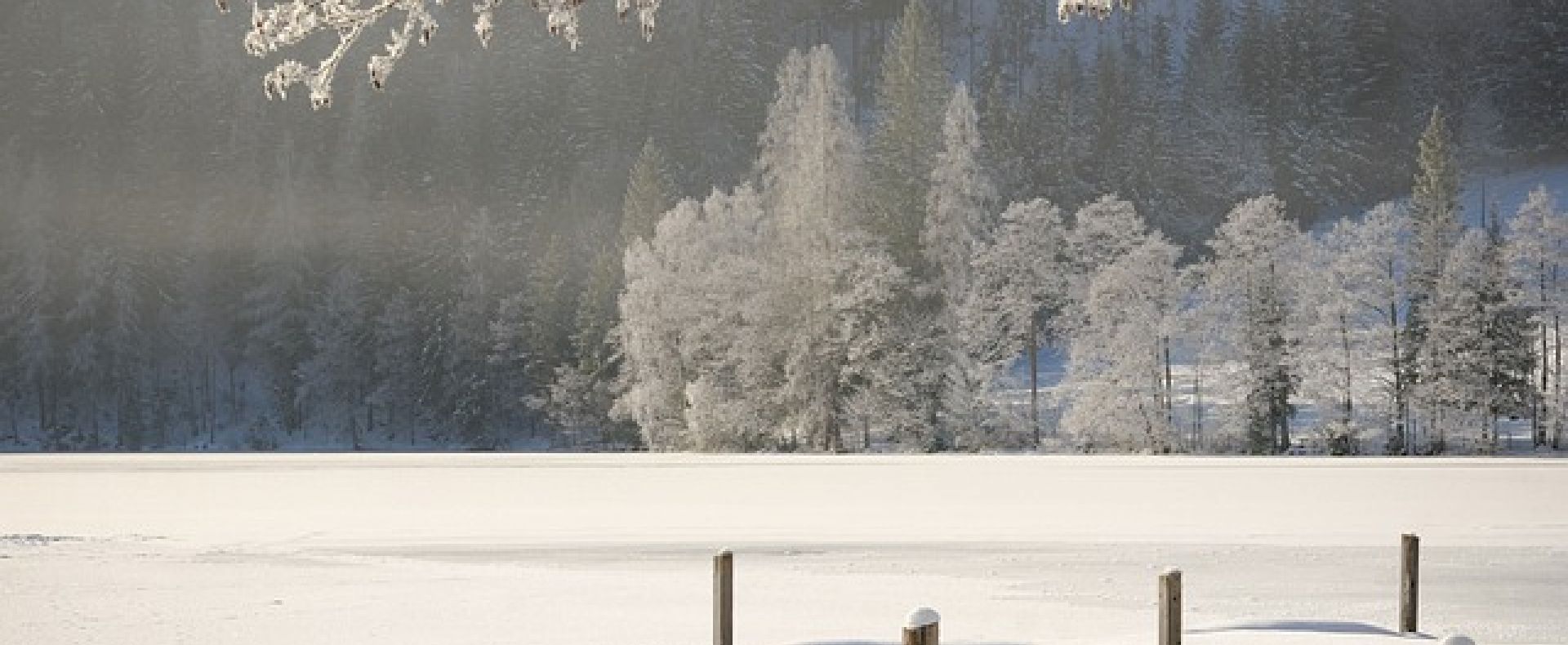 Natur, Recruiting, Coaching