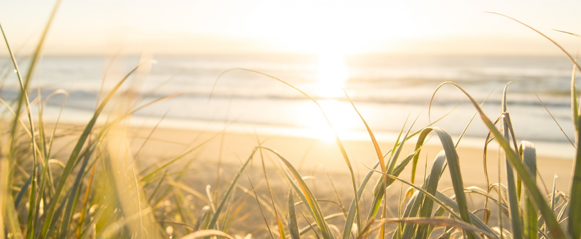 Natur, Recruiting, Coaching