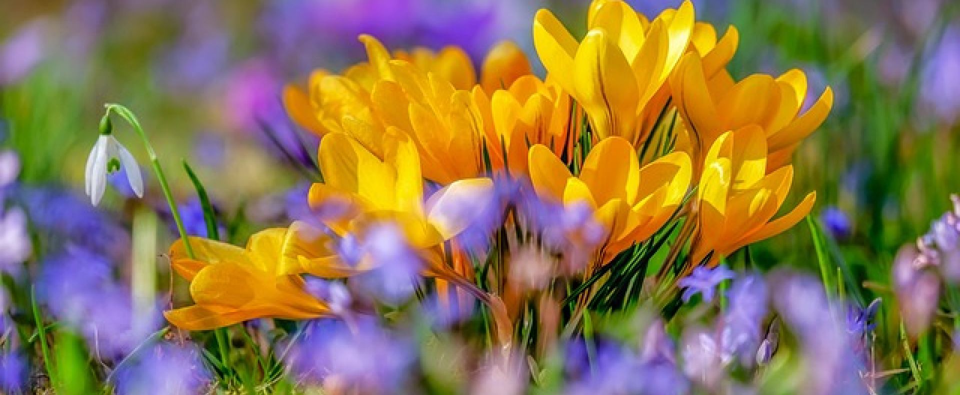 Natur, Recruiting, Coaching